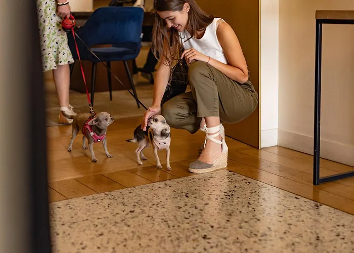 מלון 9hotel Cesari